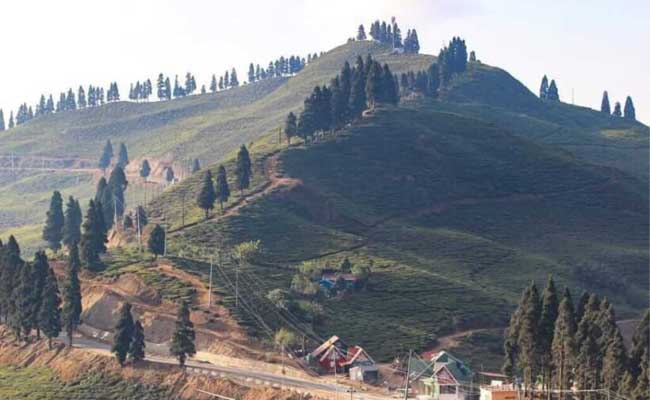 darjeelingammistourtravels