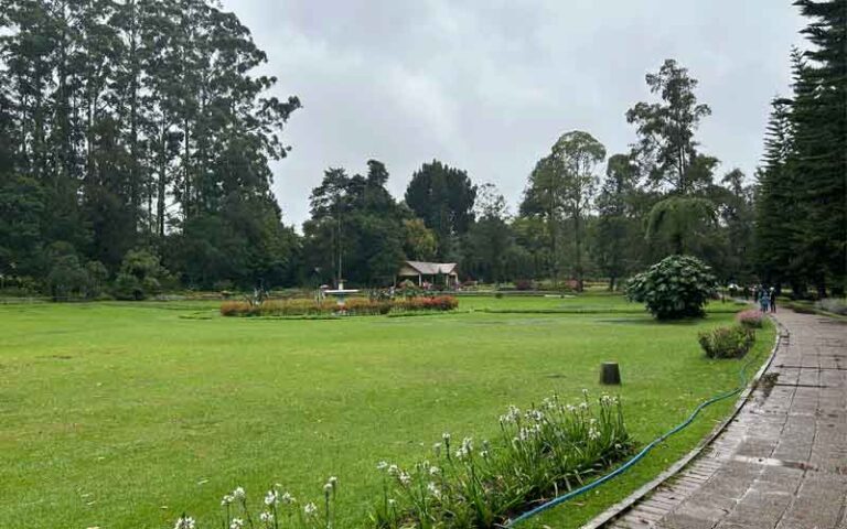 top 10 places of darjeeling